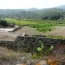 Pantelleria 