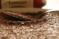 I semi di lino  - Salute > La medicina naturale
