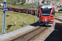 Trenino del Bernina  - Tempo libero > Viaggi e Vacanze