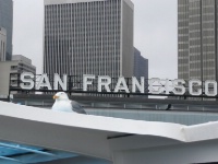 San Francisco  - Tempo libero > Viaggi e Vacanze